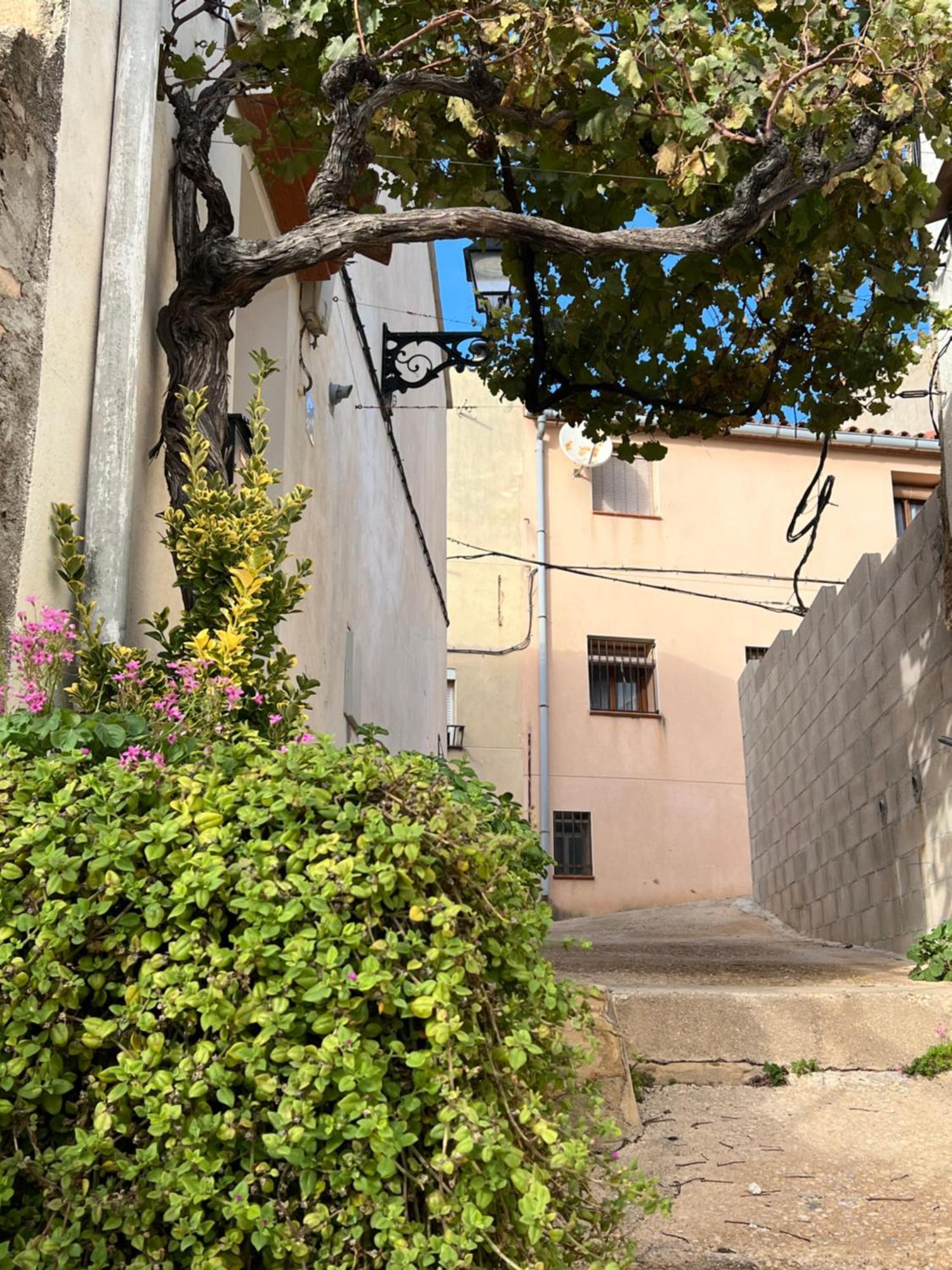 Tranquilo Apto Ideal Paraturismo Rural Y Relax Apartment Gandesa